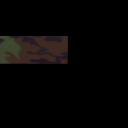 LoadedModule