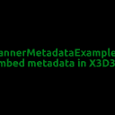 ScannerMetadataExample33