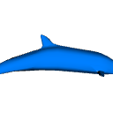 DolphinPose03