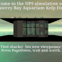 LoadSensorKelpForestMain