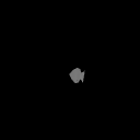 CircleFishPrototype