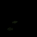 KelpBass