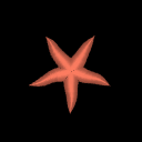 SeaStarHighResolutionExample