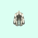 ethmoid