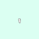 tooth_molar_18_37