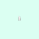 tooth_premolar_4_15